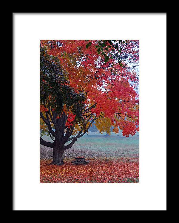 Autumn Splendor Framed Print featuring the photograph Autumn Splendor by Lisa Phillips