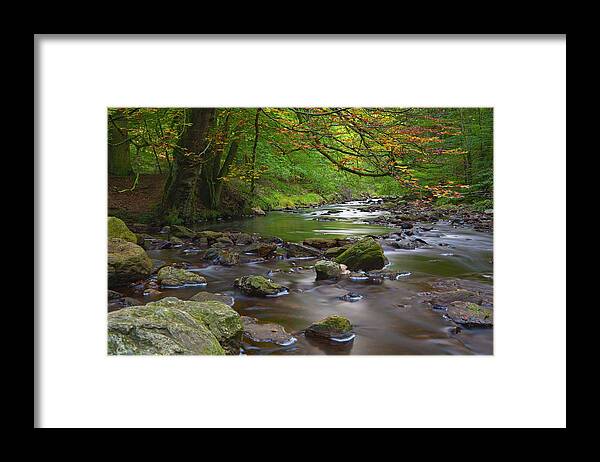 Scenics Framed Print featuring the photograph Autumn Stream Long Exposure by Michaelutech