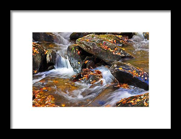 Autumn Framed Print featuring the photograph Autumn Stream North Georgia by Bruce Gourley