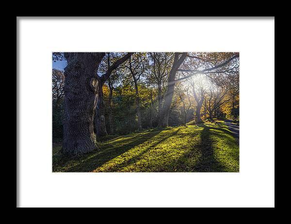 Autumn Framed Print featuring the photograph Autumn Stroll v2 by Ian Mitchell