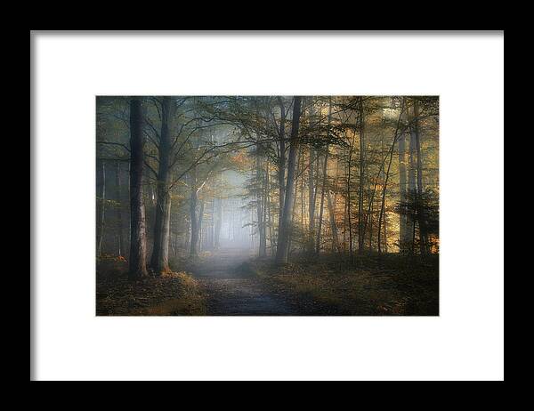 Forest Framed Print featuring the photograph Autumn Symphony by Norbert Maier