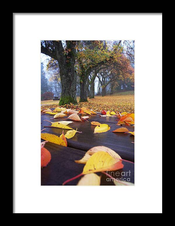 Autumn Framed Print featuring the photograph Autumn Table by Maria Janicki