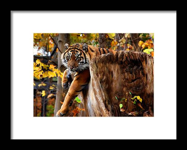 Animal Framed Print featuring the mixed media Autumn Tiger by Elaine Manley