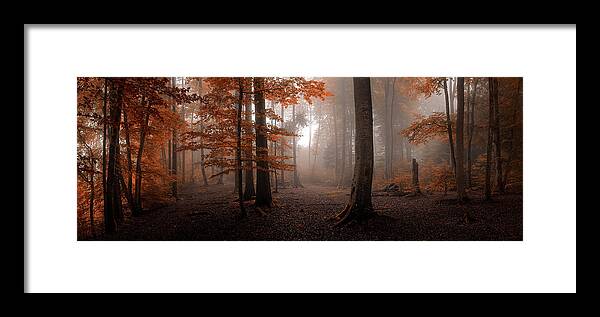 Panorama Framed Print featuring the photograph Autumn by Tom Meier