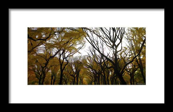 Trees Framed Print featuring the photograph Autumn Trees Panoramic by Joseph Hedaya