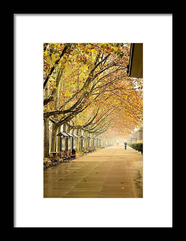 Xian Framed Print featuring the photograph Autumn Walk Xian China by Sally Ross