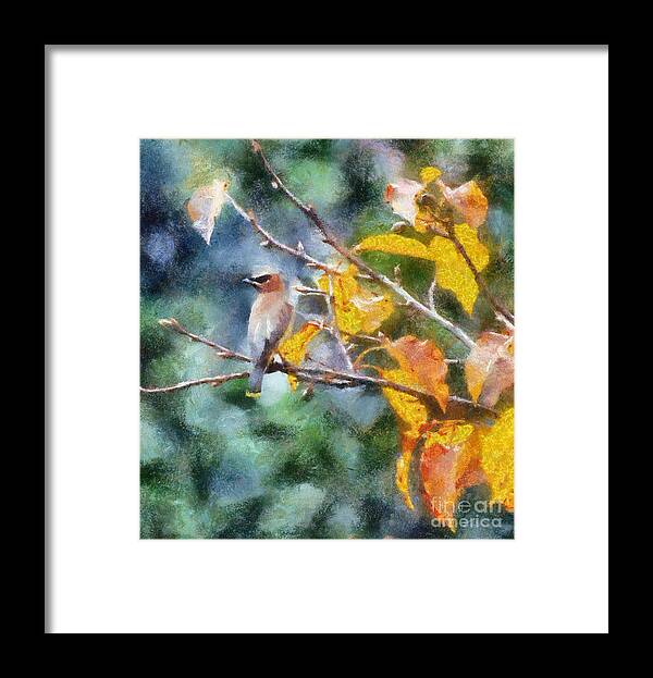 Cedar Waxwing Framed Print featuring the photograph Autumn Waxwing by Kerri Farley