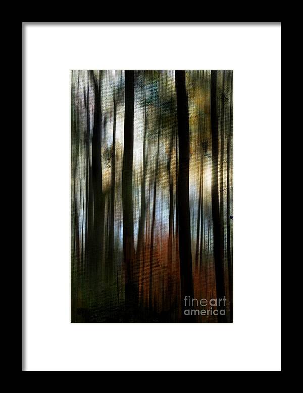 Abstract Framed Print featuring the digital art Autumn Woods by Jayne Carney