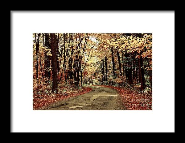 Landscape Framed Print featuring the photograph Autumns Dressing by Marcia Lee Jones