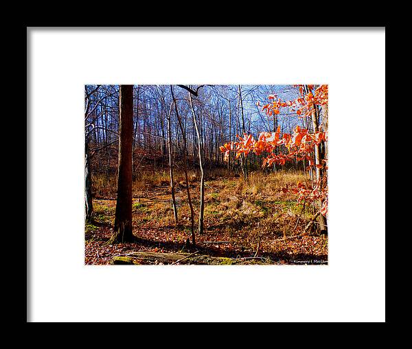 Autumn Framed Print featuring the photograph Autumn's End by Kimmary MacLean