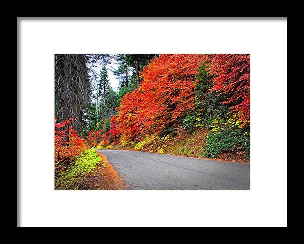 Fall Framed Print featuring the photograph Autumn's Glory by Lynn Bauer