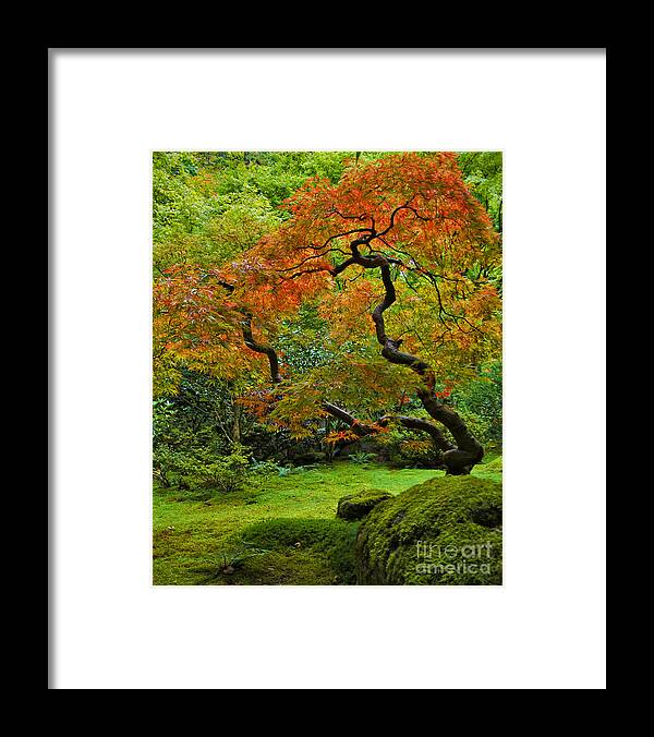 Japanese Framed Print featuring the photograph Autumn's Paintbrush by Jean Hildebrant