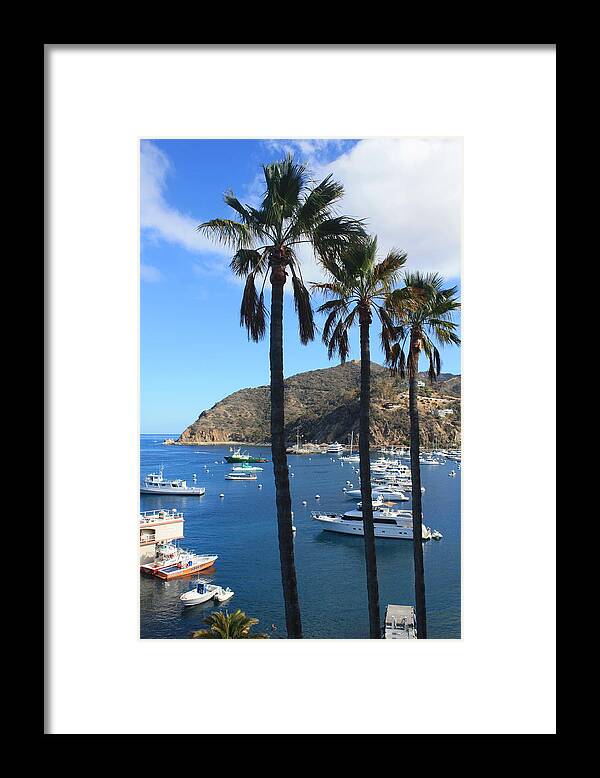 Avalon Framed Print featuring the photograph Avalon Palm Trees by Daniel Schubarth