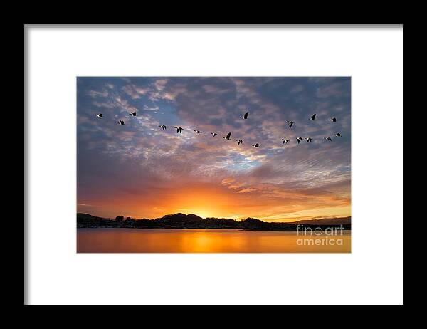 California Framed Print featuring the photograph Awakening by Alice Cahill