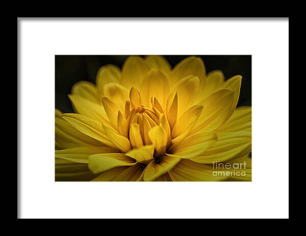 # Nature Framed Print featuring the photograph Awakening by Mary Lou Chmura