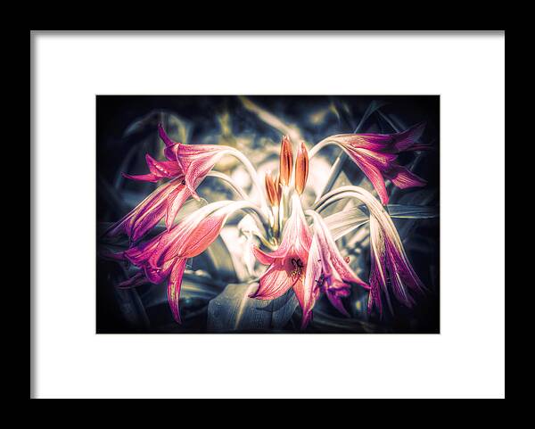 Flowers Framed Print featuring the photograph Awakening by Wayne Sherriff