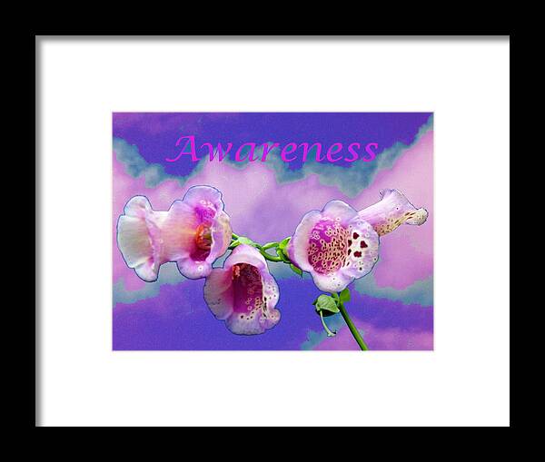 Awareness Framed Print featuring the photograph Awareness by Mike Breau