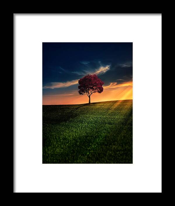 #faatoppicks Framed Print featuring the photograph Awesome Solitude by Bess Hamiti