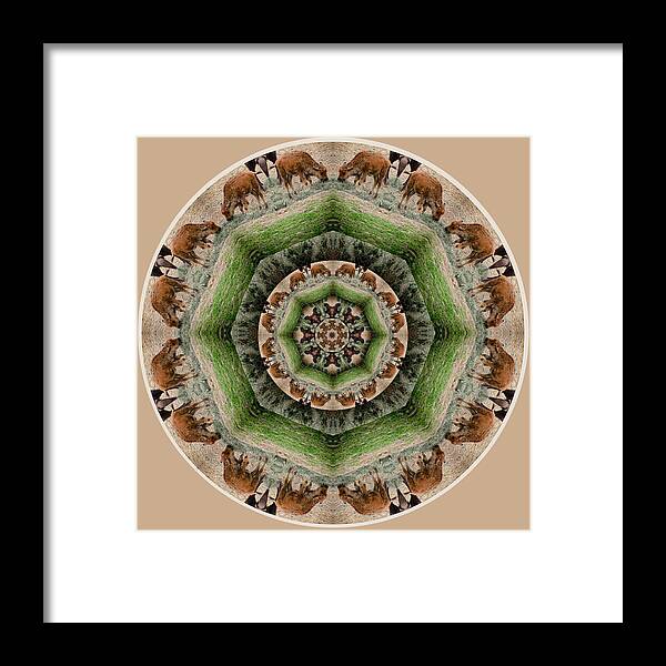 Mandala Framed Print featuring the digital art Baby Bison Mandala by Beth Sawickie