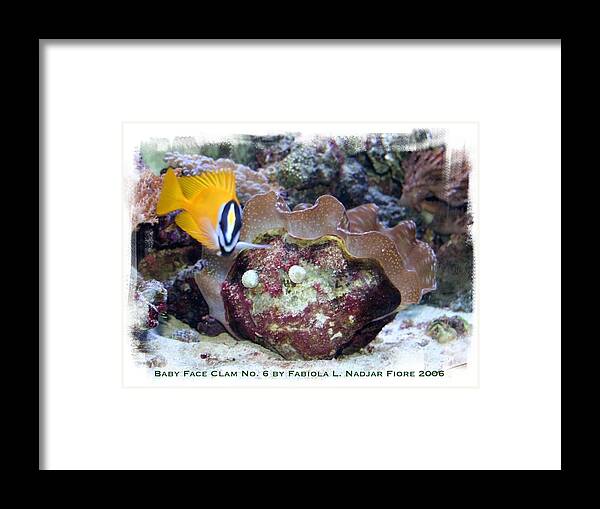 Photography Framed Print featuring the photograph Baby Face Clam No. 6 by Fabiola L Nadjar Fiore