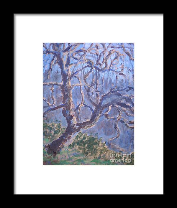 Landscape Framed Print featuring the painting Back-Lit Tree at Washington Park by Suzanne McKay