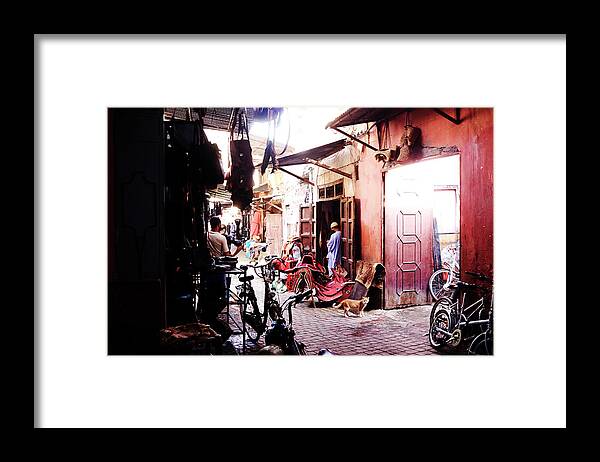 One Animal Framed Print featuring the photograph Back Streets by Mark Leary