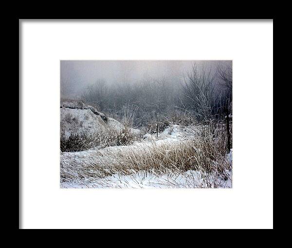 Winter Framed Print featuring the photograph Back Woods Winter by Kathy Bassett