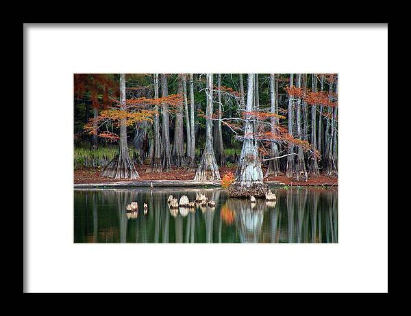 Autumn Framed Print featuring the photograph Backwaters by Lana Trussell