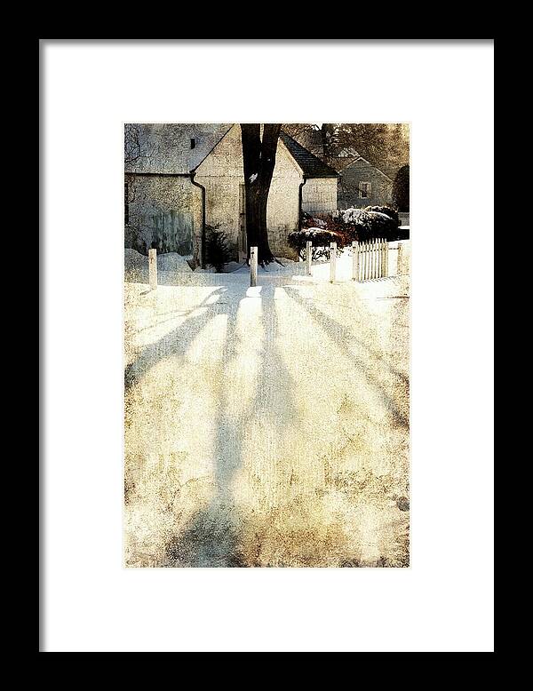 Winter Landscape Framed Print featuring the photograph Backyard by Diana Angstadt