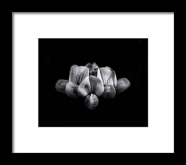 Abstract Framed Print featuring the photograph Backyard Flowers In Black And White 5 by Brian Carson