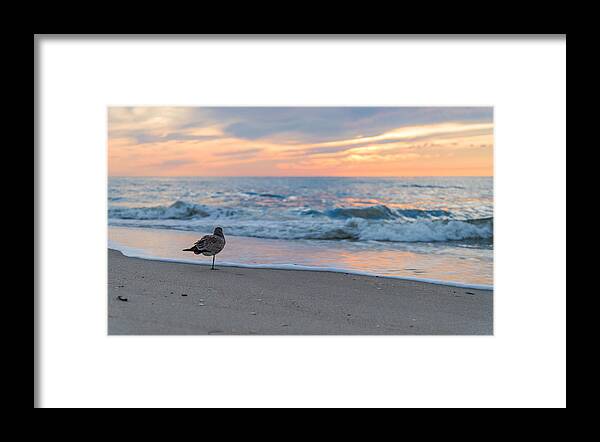 Cape May Framed Print featuring the photograph Balance by Kristopher Schoenleber
