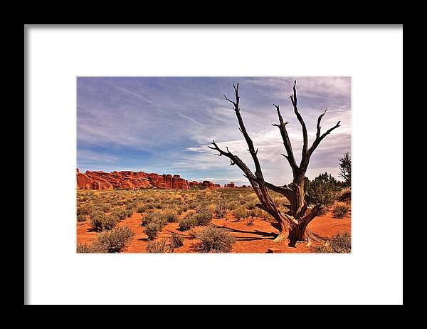 Landscape Framed Print featuring the photograph Bald Tree At Arches by Benjamin Yeager