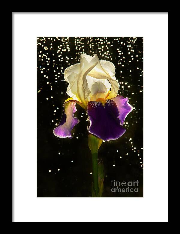 Iris Framed Print featuring the photograph Ballerina by Loni Collins
