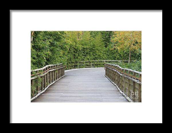 Bamboo Bridge Framed Print featuring the photograph Bamboo Bridge by Bev Conover