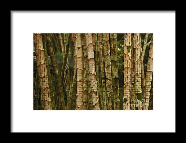 Bamboo Framed Print featuring the photograph Bamboo with Texture by Vivian Christopher