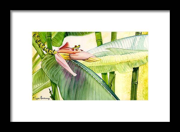 Frog Framed Print featuring the painting Banana Bloom by Lyse Anthony
