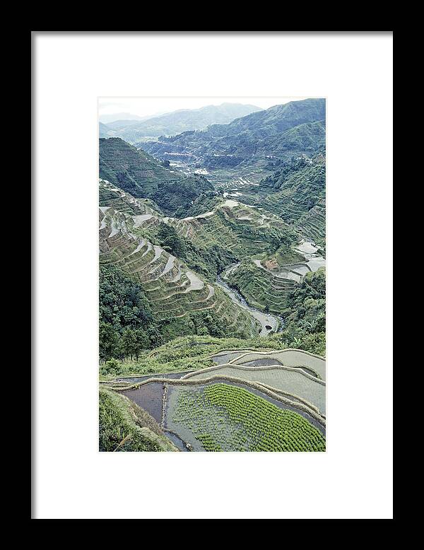 Agriculture Framed Print featuring the photograph Banaue Rice Terraces by F. Stuart Westmorland