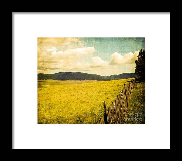 Landscape Framed Print featuring the photograph Bandelier Wilderness by Sonja Quintero