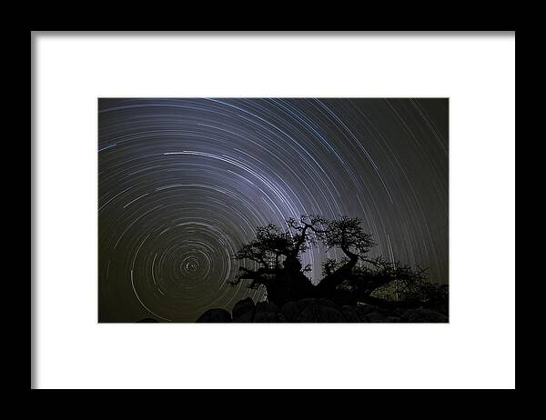 Vincent Grafhorst Framed Print featuring the photograph Baobab And Star Trails Botswana by Vincent Grafhorst