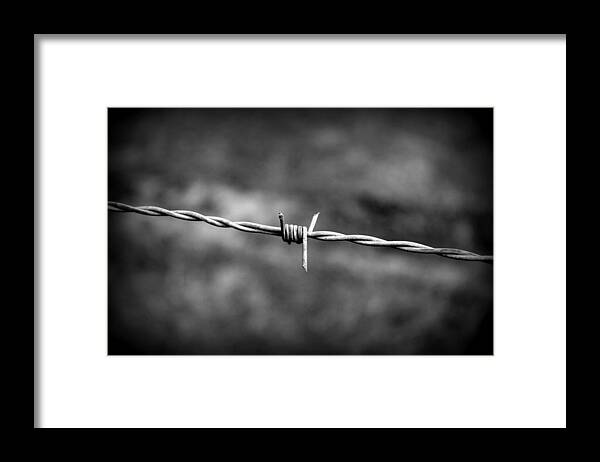 Barbed Wire Framed Print featuring the photograph Barbed Wire by Beth Vincent
