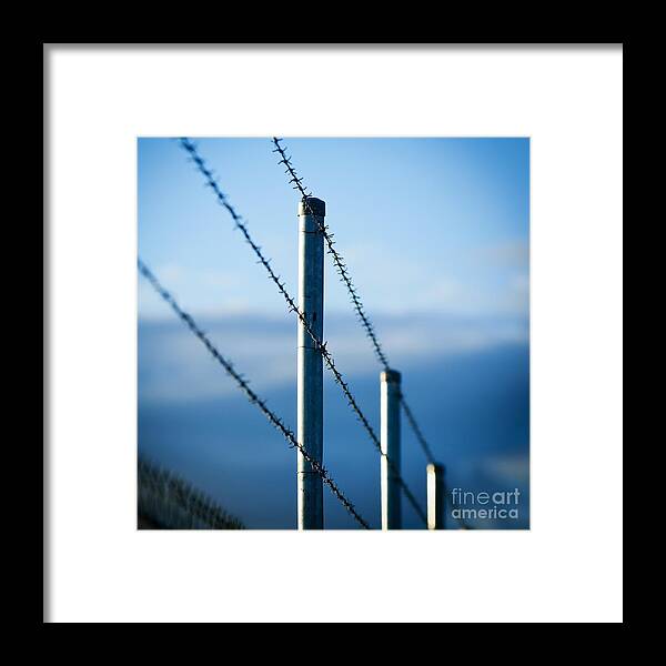 Fence Framed Print featuring the photograph Barbed Wire Fence by THP Creative
