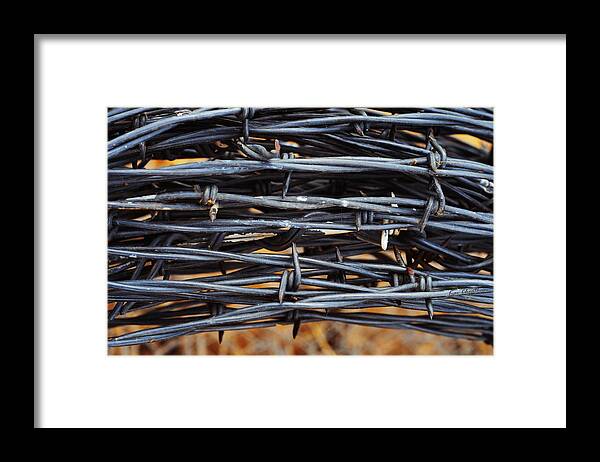 Barbed Wire Framed Print featuring the photograph Barbs Wound Tight by Kae Cheatham