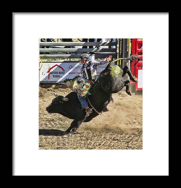 Ron Roberts Photography Framed Print featuring the photograph Bareback Bull riding by Ron Roberts