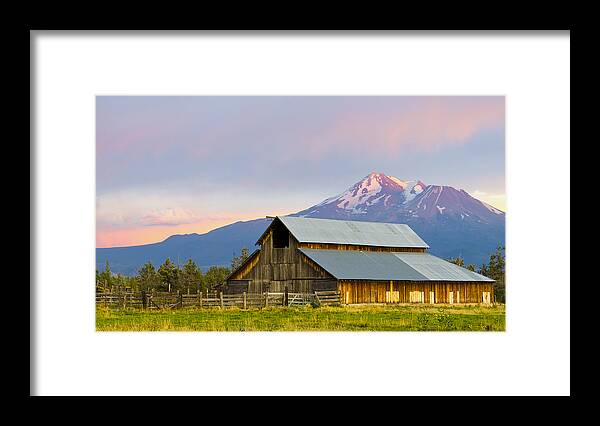 Loree Johnson Framed Print featuring the photograph Barn and Mount Shasta at sunset by Loree Johnson