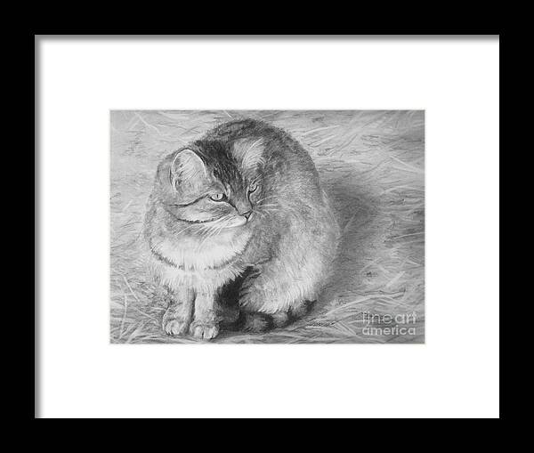 Cat Framed Print featuring the drawing Barn cat study by Meagan Visser