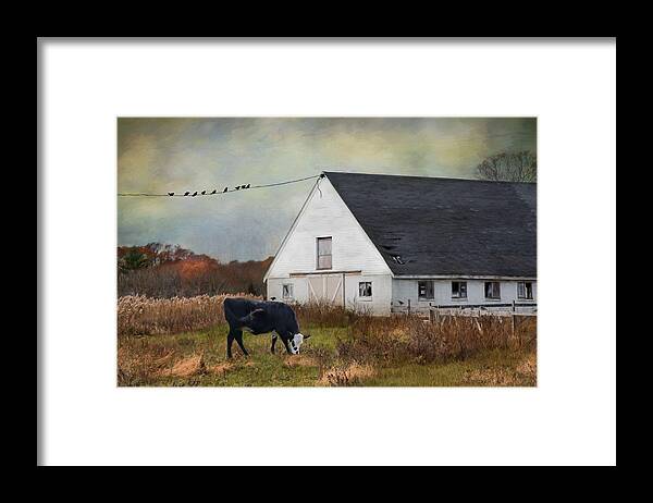 Cow Framed Print featuring the photograph Barnyard Bliss by Robin-Lee Vieira