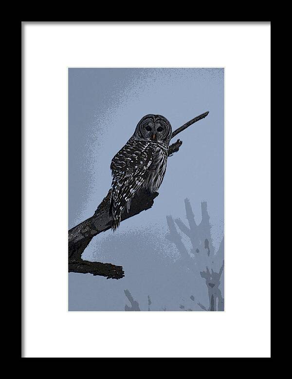 Sharp Framed Print featuring the photograph Barred Owl Art by Jodi Pflepsen