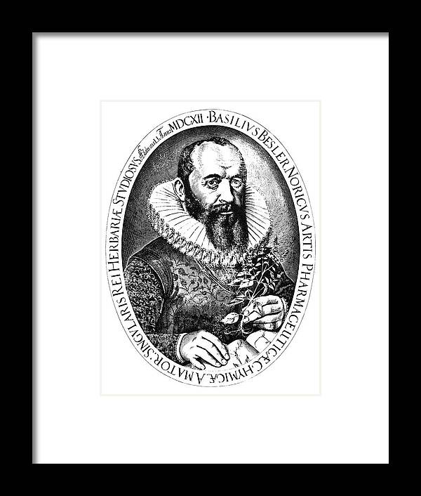 1613 Framed Print featuring the drawing Basilius Besler (1561-1629) by Granger