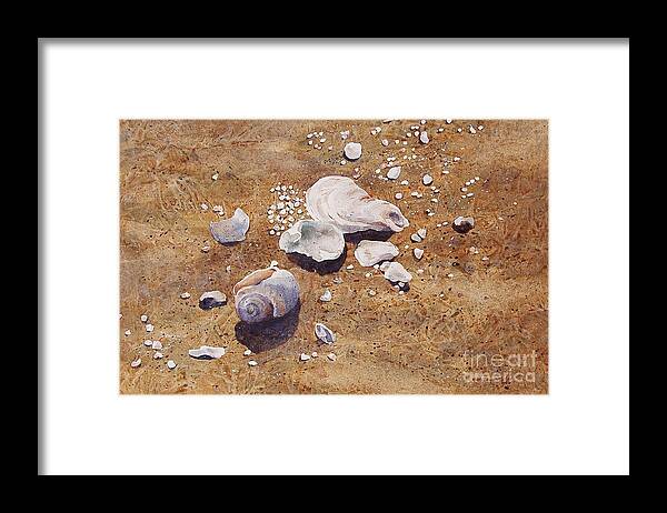 Shells Framed Print featuring the painting Bass River Seashells by Karol Wyckoff