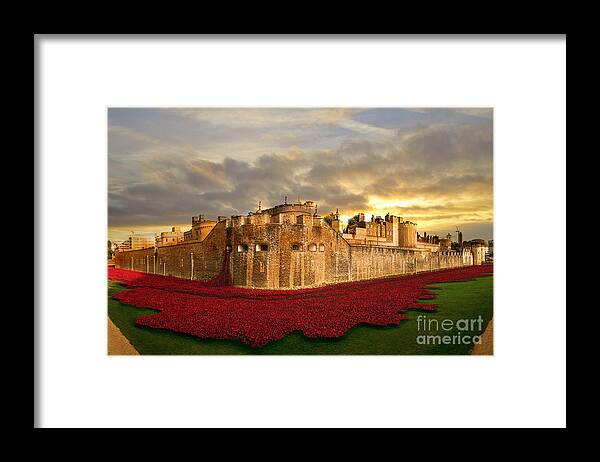 Poppies Framed Print featuring the digital art Bathed in Gold by Airpower Art